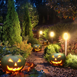 Spooky Garden Ideas for Halloween