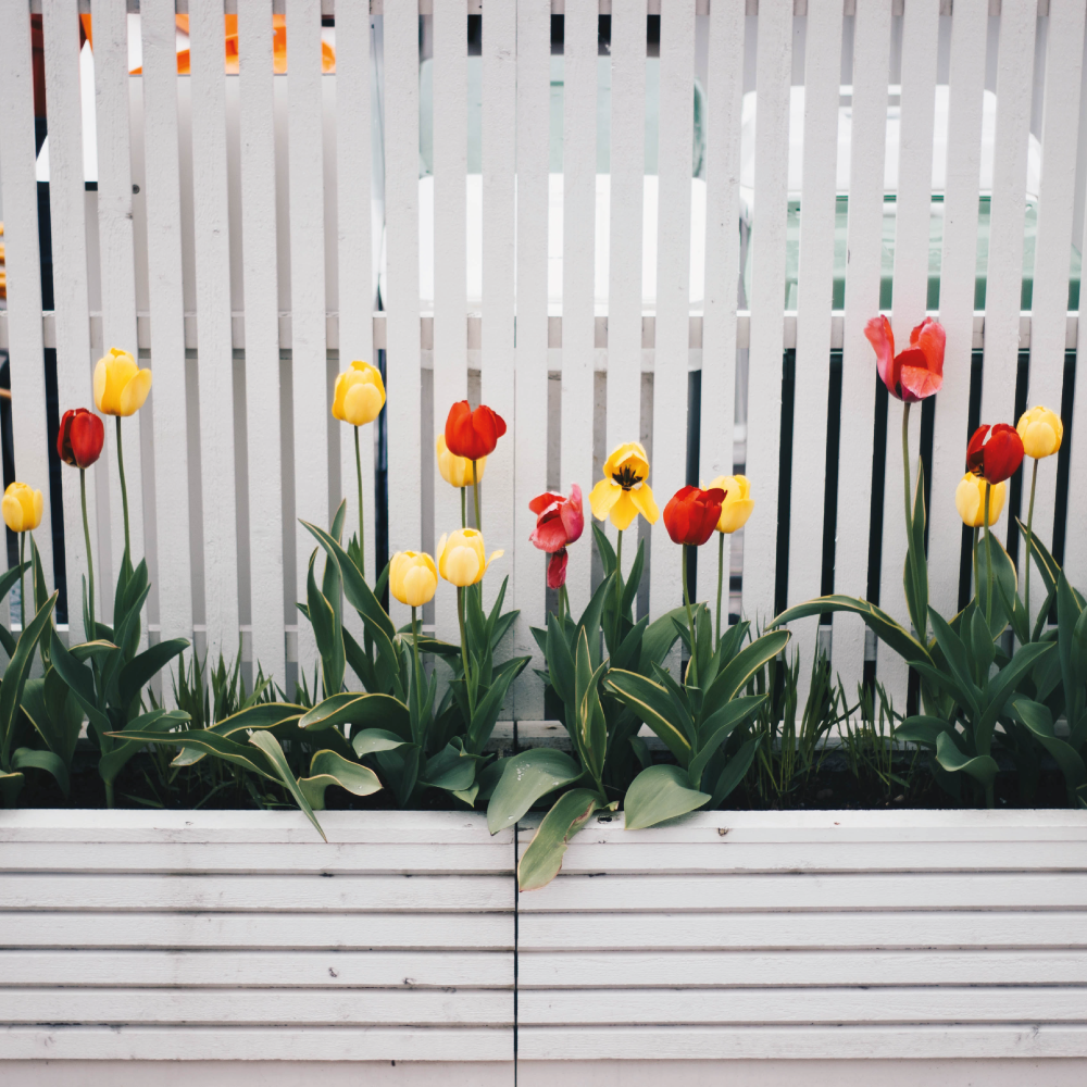 What is the cost of garden fencing? Contemporary Garden UK