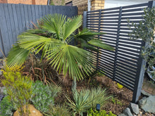 Load image into Gallery viewer, Grey Painted Fencing