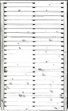 Load image into Gallery viewer, Tempo Vibe Gate - www.contemporarygarden.co.uk